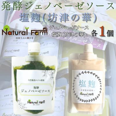 ふるさと納税 枕崎市 発酵ジェノベーゼソース&amp;塩麹 各1パックセット A1-7