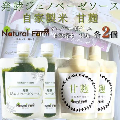 ふるさと納税 枕崎市 発酵ジェノベーゼソース&amp;甘麹 各2パックセット