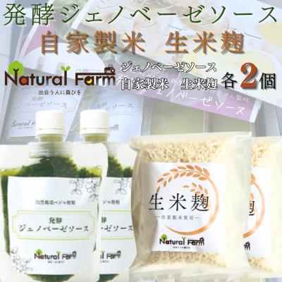 ふるさと納税 枕崎市 発酵ジェノベーゼソース&amp;生米麹 各2パックセット A5-21