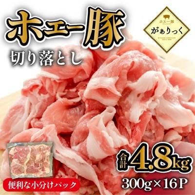 ふるさと納税 小林市 [生産者直送]宮崎県産訳ありホエー豚切り落とし 4.8kg(DAS125)