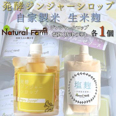 ふるさと納税 枕崎市 発酵ジンジャーシロップ&amp;塩麹 各1パックセット A2-20