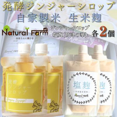 ふるさと納税 枕崎市 発酵ジンジャーシロップ&amp;塩麹 各2パックセット B1-4