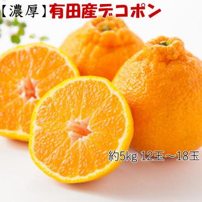 ふるさと納税 かつらぎ町 [お味濃厚]紀州有田産の大玉デコポン約5kg(12玉〜18玉入り)(かつらぎ町)