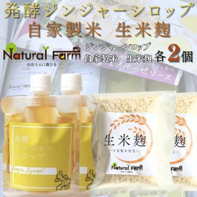 ふるさと納税 枕崎市 発酵ジンジャーシロップ&amp;生米麹 各2パックセット A7-18