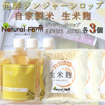 ふるさと納税 枕崎市 発酵ジンジャーシロップ&amp;生米麹 各3パックセット B4-5