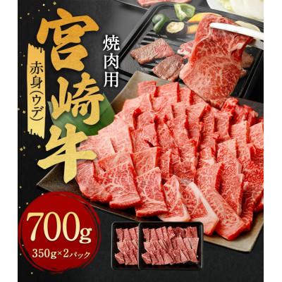 ふるさと納税 高鍋町 赤身(ウデ)焼肉 350g×2パック