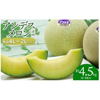 ふるさと納税 鶴岡市 [令和8年分先行予約]アンデスメロン(3玉〜5玉)秀品4L〜2L K-839