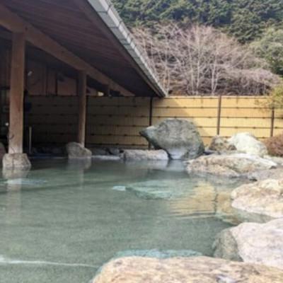 ふるさと納税 南部町 山梨県南部町秘湯「奥山温泉」日帰り入浴券(1名様分)【5枚】_2