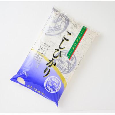 ふるさと納税 新庄市 新庄産米 コシヒカリ(精米)5kg