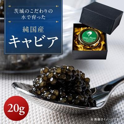 ふるさと納税 茨城県 【先行予約】純国産キャビアVoeu-Pence 20g×1個