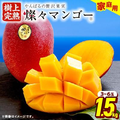ふるさと納税 国頭村 [2027年7月から順次発送・家庭用]燦々マンゴー1.5kg(3〜6玉)