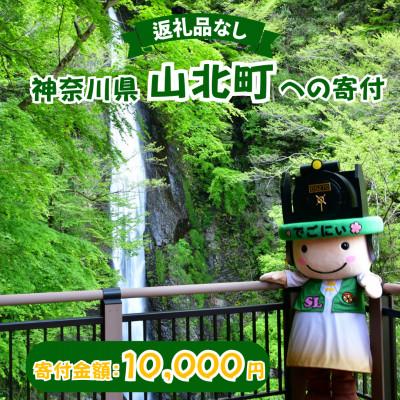 ふるさと納税 山北町 [返礼品なし] 神奈川県 山北町への寄付 (10,000円)