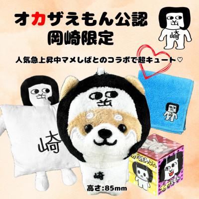 ふるさと納税 岡崎市 オカザえもん公認フレンドリーセット