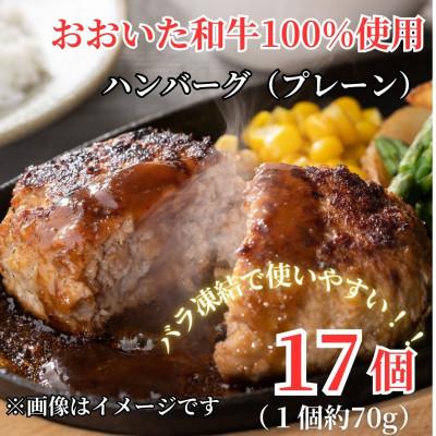 ふるさと納税 豊後大野市 ちょっと贅沢おうちご飯[おおいた和牛100%使用]ハンバーグ プレーン 17個(豊後大野市)