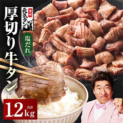 ふるさと納税 泉佐野市 厚切り牛タン 1.2kg 秘伝の塩だれ 焼肉用
