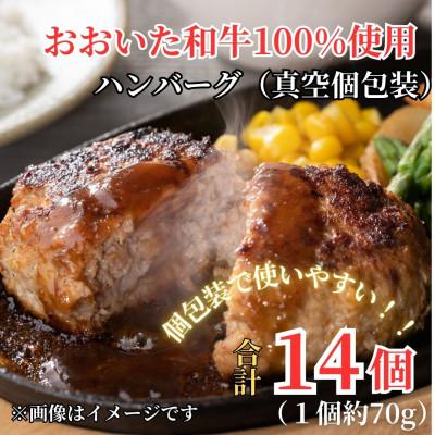 ふるさと納税 豊後大野市 ちょっと贅沢おうちご飯[おおいた和牛100%使用]ハンバーグプレーン 真空個包装14個(豊後大野市)
