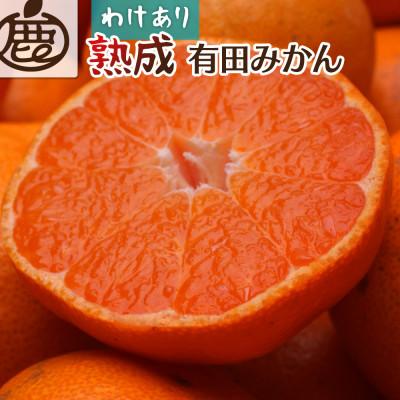 ふるさと納税 湯浅町 家庭用 熟成有田みかん1kg+250g(傷み補償分)[光センサー選果][訳あり]