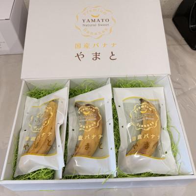 ふるさと納税 郡上市 国産バナナ やまと 約160g×3本