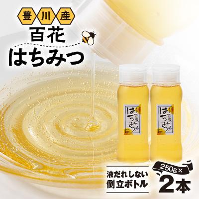 ふるさと納税 豊川市 豊川産純粋はちみつ 液だれしない倒立ボトル250g×2本