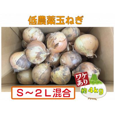ふるさと納税 紀の川市 [訳あり] 農家さん直送 低農薬玉ねぎ 約4kg S〜2L混合[4月下旬〜7月中旬発送予定]