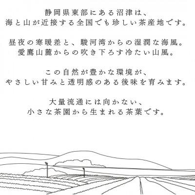 ふるさと納税 沼津市 静岡産 沼津茶アソートセット  沼津緑茶(50g)沼津冠茶(50g)沼津紅茶(30g)計130g |  | 02