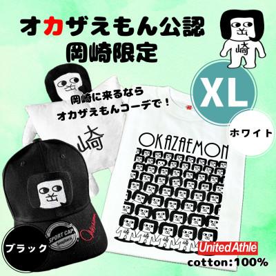 ふるさと納税 岡崎市 オカザえもん公認エンジョイコーデセット(XLWB)
