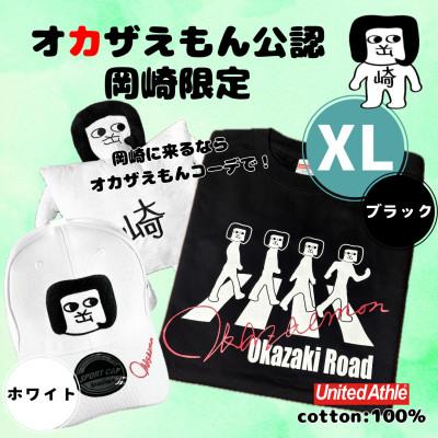 ふるさと納税 岡崎市 オカザえもん公認エンジョイコーデセット(XLBW)