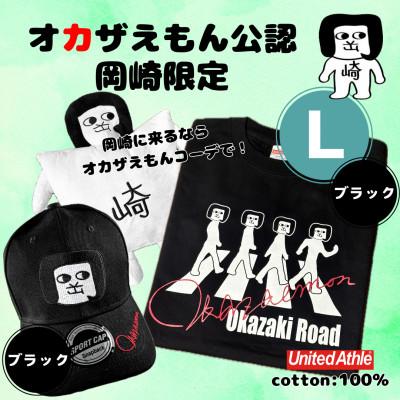 ふるさと納税 岡崎市 オカザえもん公認エンジョイコーデセット(LBB)