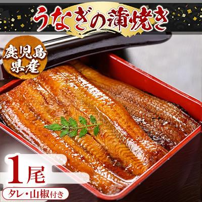 ふるさと納税 姶良市 うなぎ蒲焼き 1尾分 170g〜190g[うえの屋]a982-A