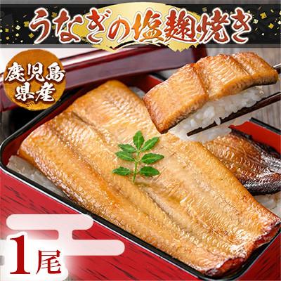 ふるさと納税 姶良市 うなぎ塩麹焼き 1尾分 170g〜190g[うえの屋]a982-C