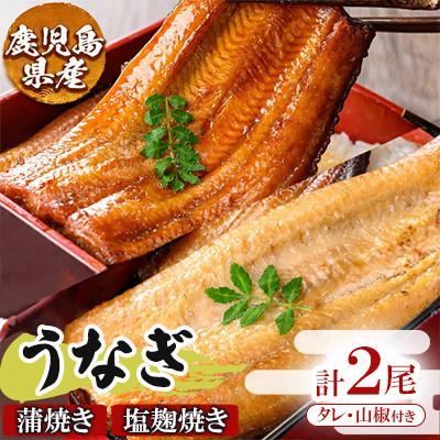 ふるさと納税 姶良市 鰻食べ比べ うなぎ蒲焼き&amp;塩麹焼き 計2尾分 計340g〜380g[うえの屋]a982-E