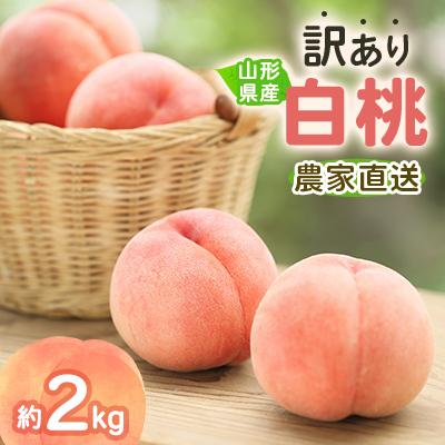 ふるさと納税 中山町 令和9年産 先行受付 農家直送「白桃」約2キロ 訳あり ご家庭用[離島配送不可]