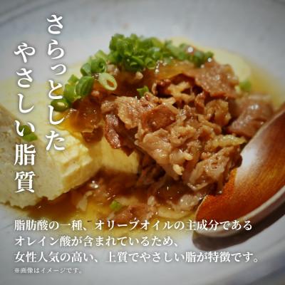 ふるさと納税 穴水町 【和牛セレブ】能登牛 切り落とし 1kg(500g×2P) |  | 03