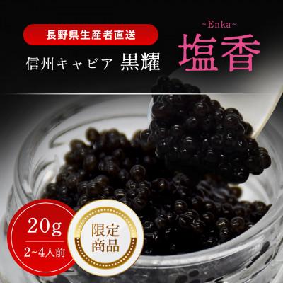 ふるさと納税 長和町 黒耀 信州キャビア 塩香 -Enka- 20g 限定品 黒曜石スプーン・化粧箱付