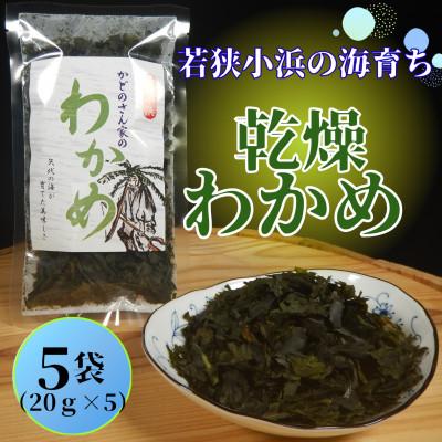 ふるさと納税 小浜市 乾燥わかめ 5袋 福井県小浜市 民宿かどの