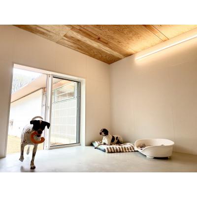 ふるさと納税 長和町 山の中のプライベートドッグホテル 1泊2日/1頭