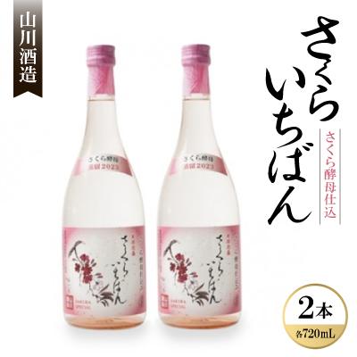 ふるさと納税 本部町 [山川酒造]さくら咲く「さくら酵母仕込」さくらいちばん30度 720ml×2本