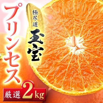 ふるさと納税 八幡浜市 ≪新品種!!≫【甘平×まどんな】愛果48号(紅