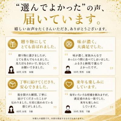 ふるさと納税 八幡浜市 ≪新品種!!≫【甘平×まどんな】愛果48号(紅