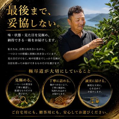 ふるさと納税 八幡浜市 ≪新品種!!≫【甘平×まどんな】愛果48号(紅
