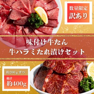 ふるさと納税 高知市 自家製 牛ハラミたれ漬け&amp;牛タンスライス味付け 各約200g 合計約400g[AP161]