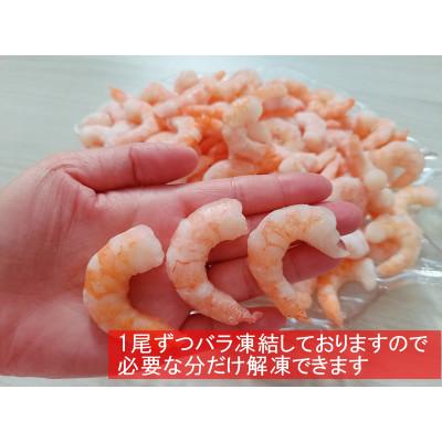 ふるさと納税 小竹町 背ワタなしで使いやすい 天然むき海老(約1kg)(小竹町)