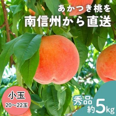 ふるさと納税 豊丘村 [南信州産]あかつき桃 秀品 小玉20〜22玉 約5kg 2026年7月下旬〜順次発送