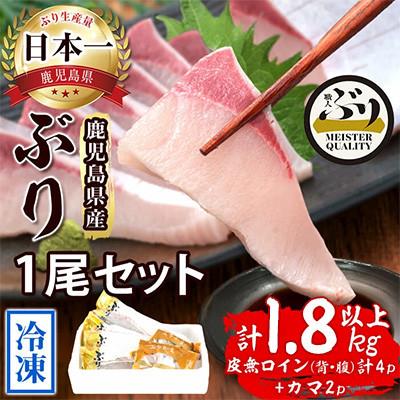 ふるさと納税 垂水市 [鹿児島産]冷凍ぶり 1尾セット(皮無ロイン背腹計4p、カマ2p)[アクアブルー]