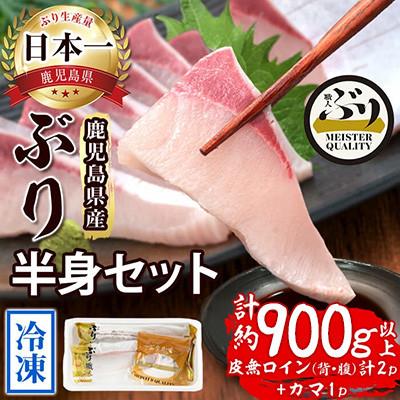 ふるさと納税 垂水市 [鹿児島産]冷凍ぶり 半身セット(皮無ロイン背腹計2p、カマ1p)[アクアブルー]