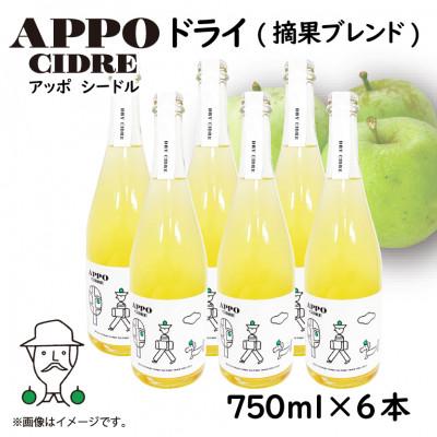 ふるさと納税 飯田市 信州りんごを使ったクラフトシードル『APPO』(アッポ) ドライ 750ml×6本セット
