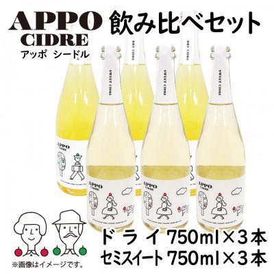 ふるさと納税 飯田市 信州りんごを使ったクラフトシードル『APPO』(アッポ) 飲み比べ 750ml×6本セット