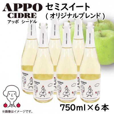 ふるさと納税 飯田市 信州りんごを使ったクラフトシードル『APPO』(アッポ) セミスイート 750ml×6本セット