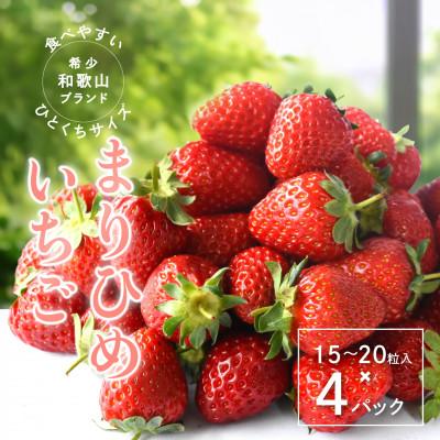 ふるさと納税 すさみ町 まりひめいちご4パック 人気の食べやすいひと口サイズ(1パック15〜20粒入)こだわり農家厳選!