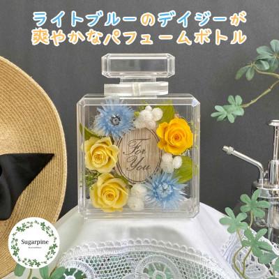 ふるさと納税 春日部市 プリザーブドフラワーアレンジ[レア] 春日部市 シュガーパイン